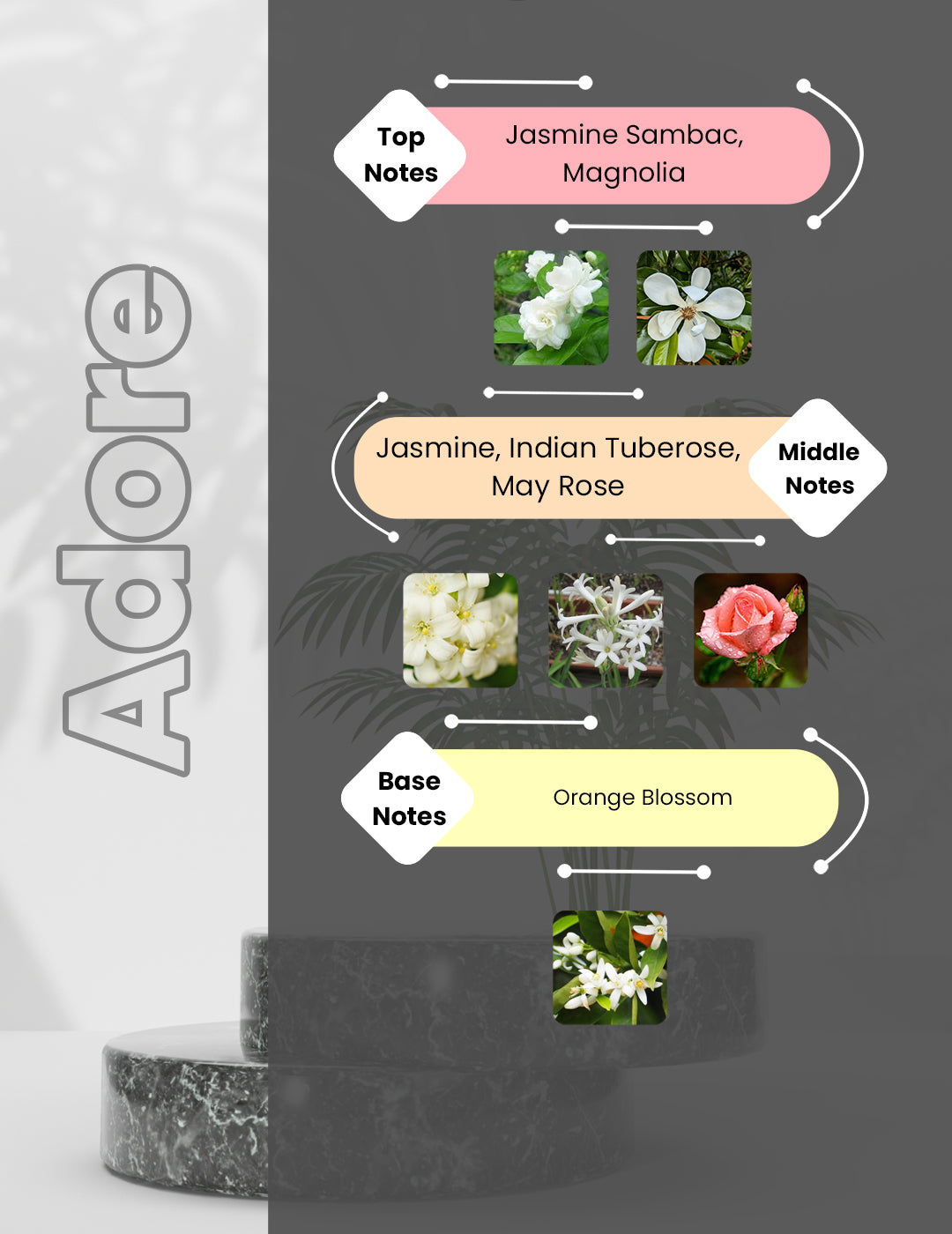 Jadore  - Ador