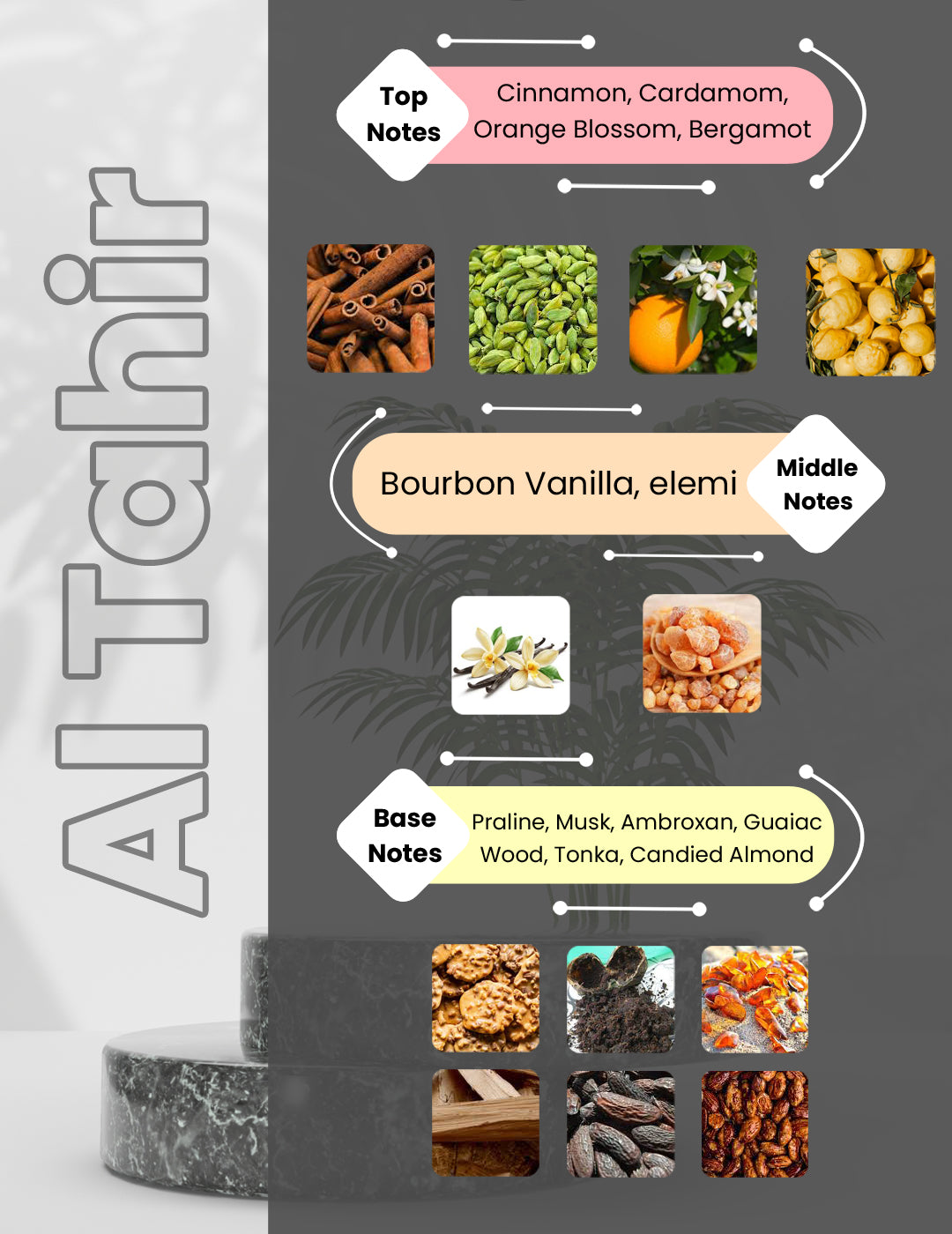 Luxodor Perfumes Al Tahir fragrance affordable perfumes in India