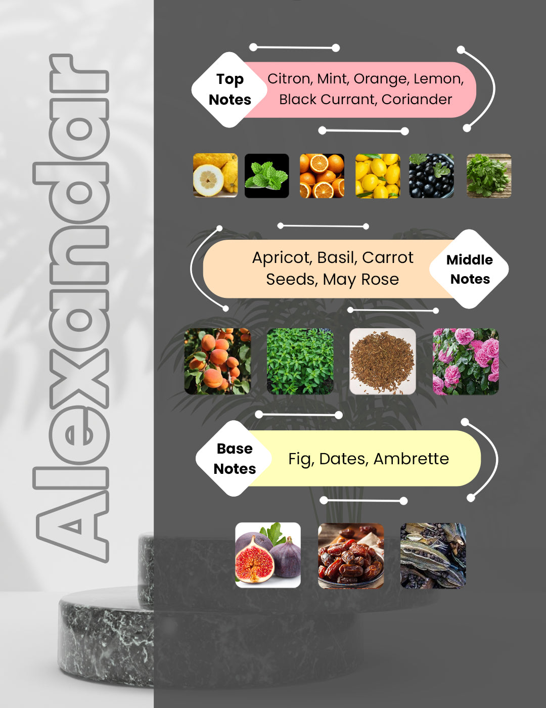 ALEXANDRIA 2 - Alexandar