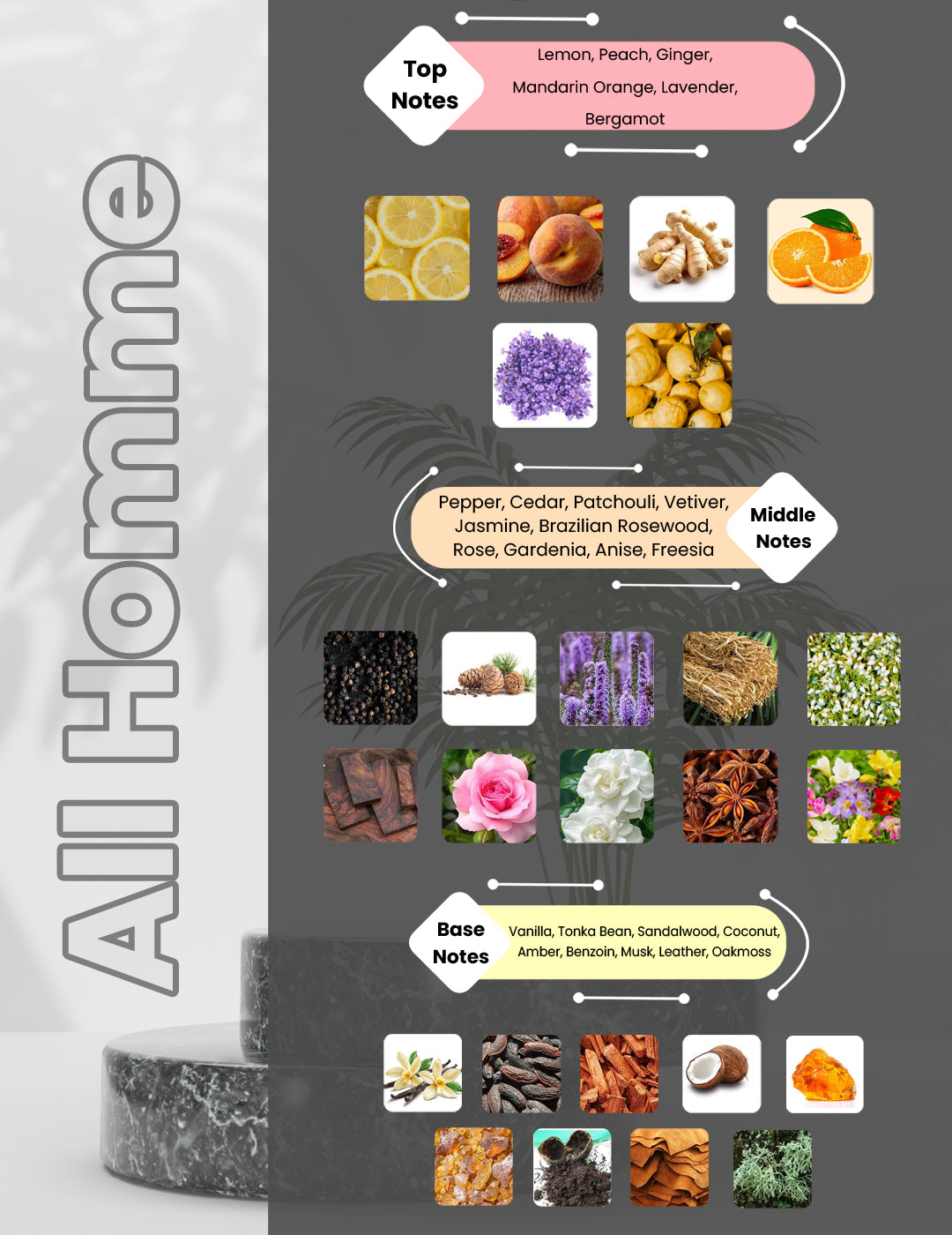 Luxodor Perfumes home banner showcasing affordable perfumes in India