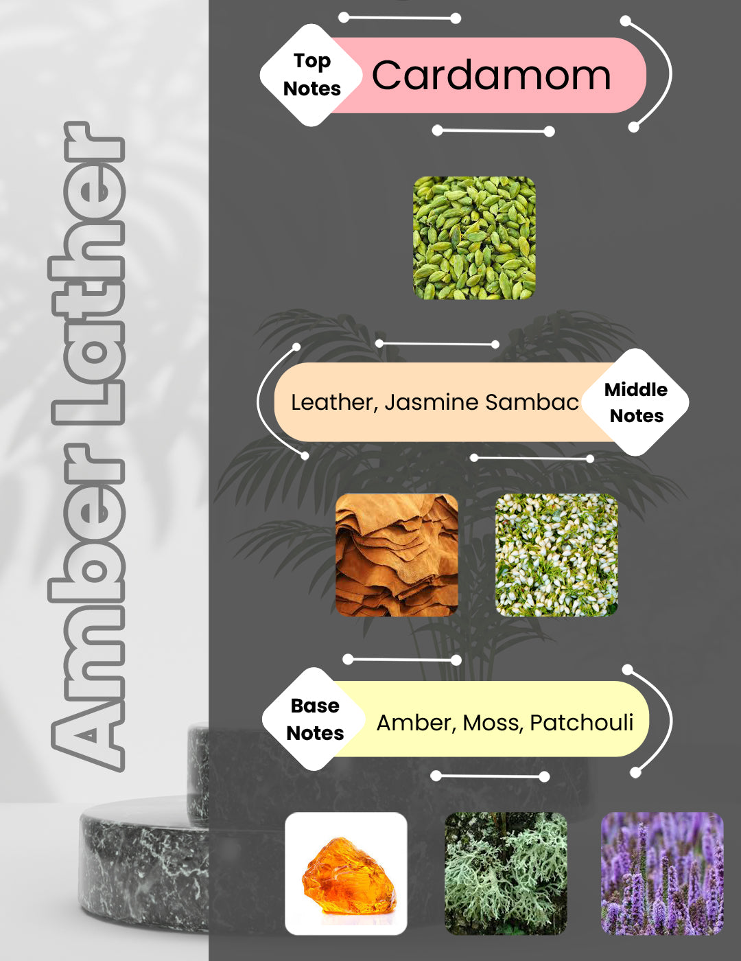 Luxodor Perfumes Amber Lather perfume bottle affordable perfumes in India