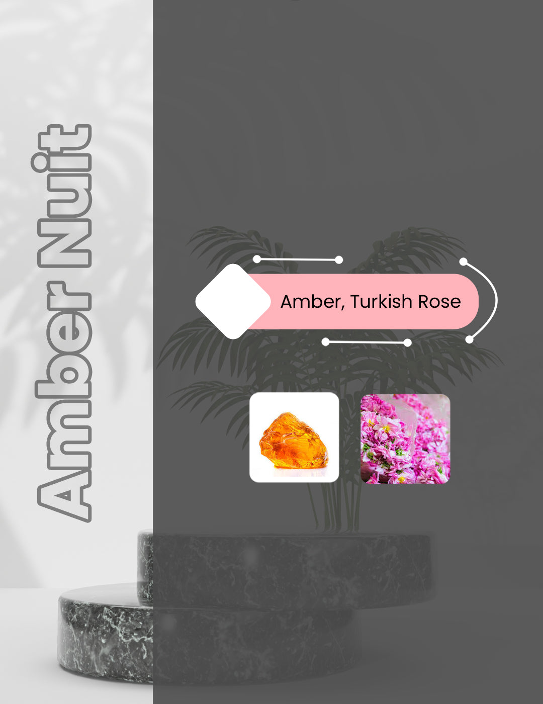 Ambre Nuit - Amber Nutt