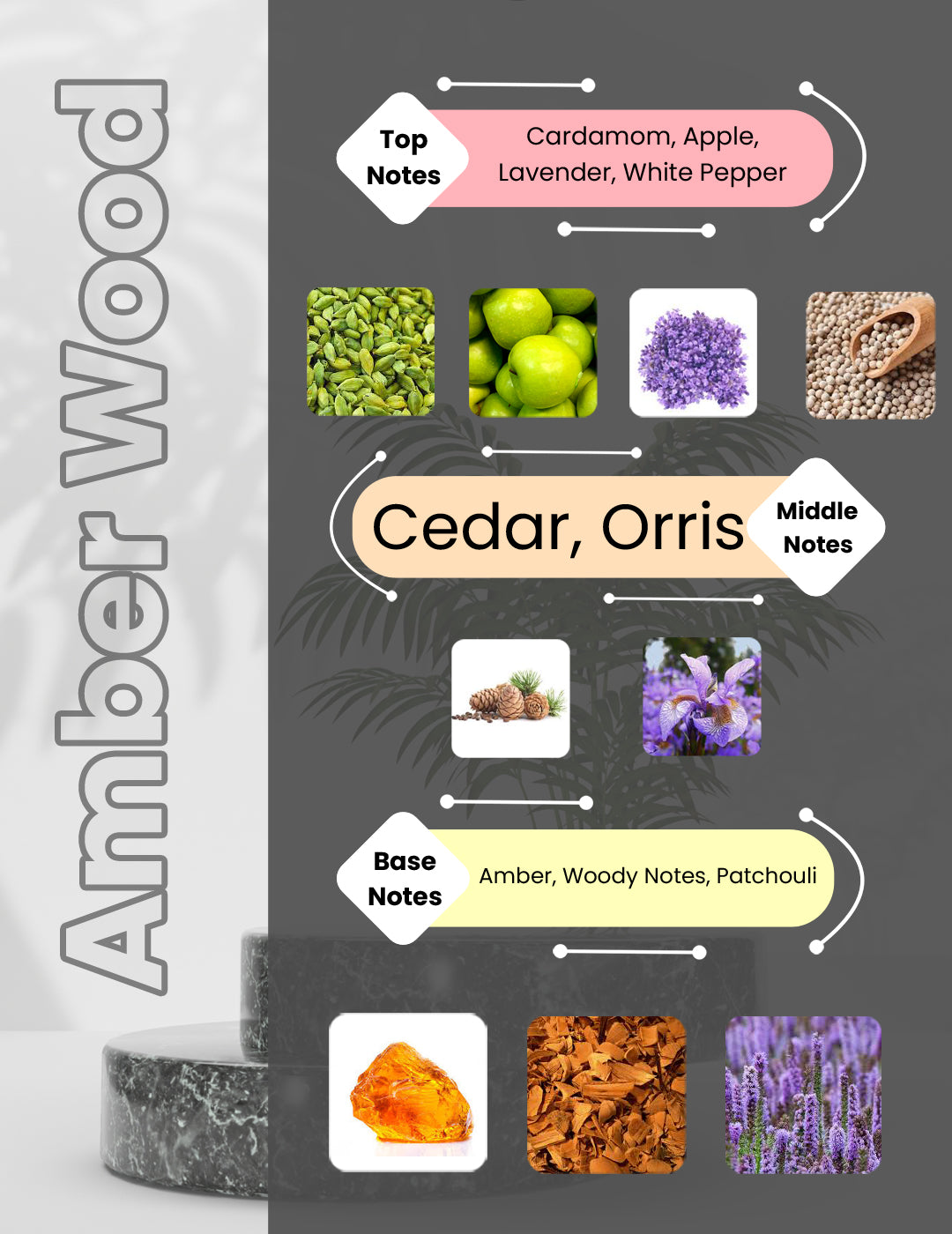 Luxodor Perfumes Amber Wood fragrance affordable perfumes in India