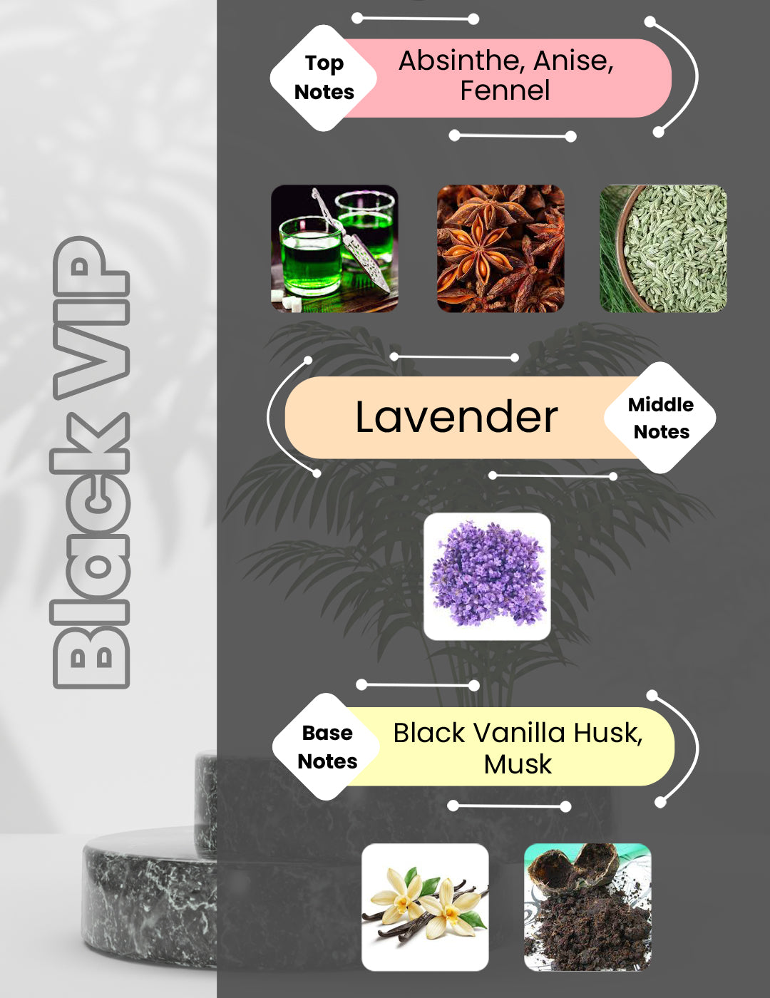 Herrer 212 VIP - Black-VIP