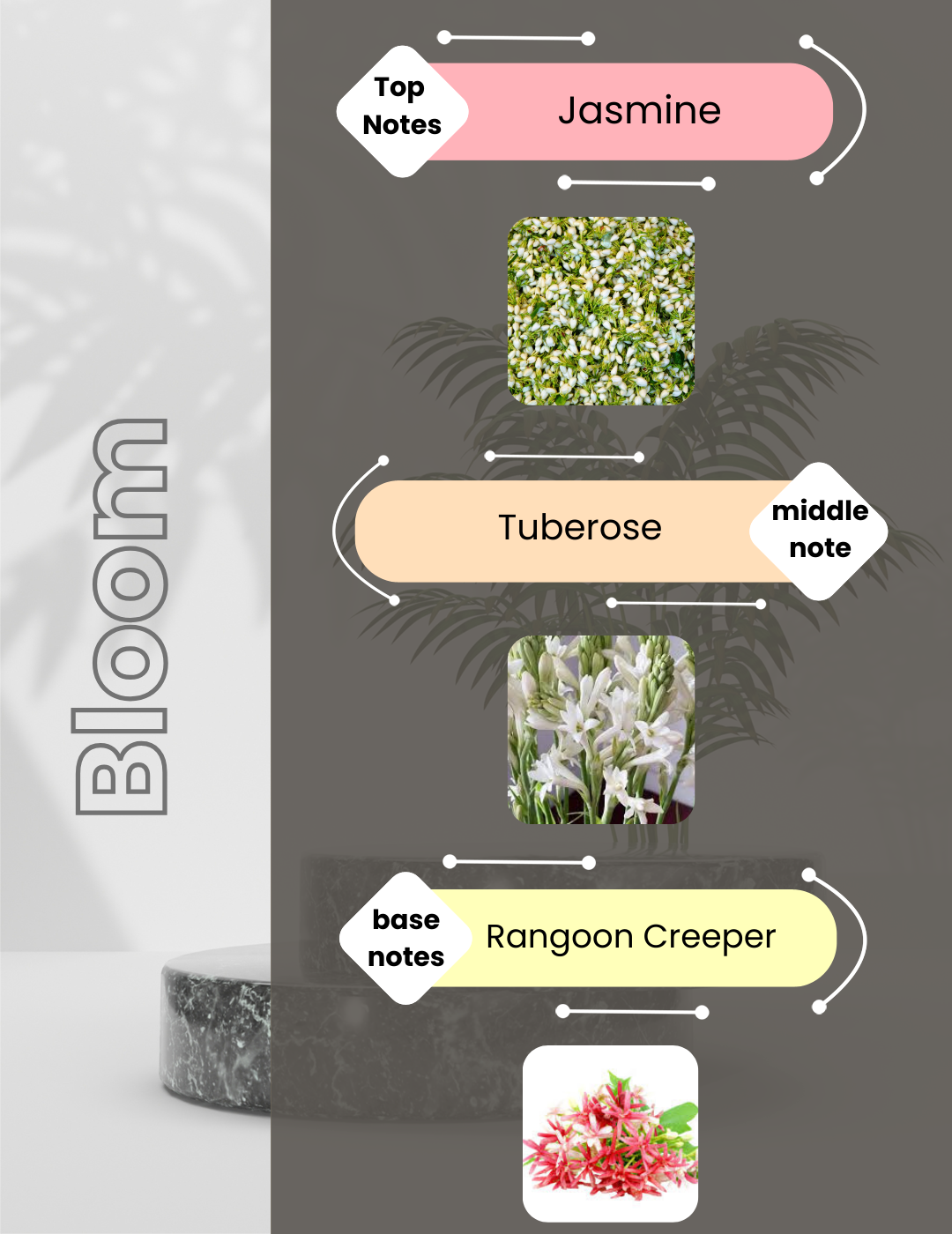 Miss Blooming Bouquet - Miss Bloom