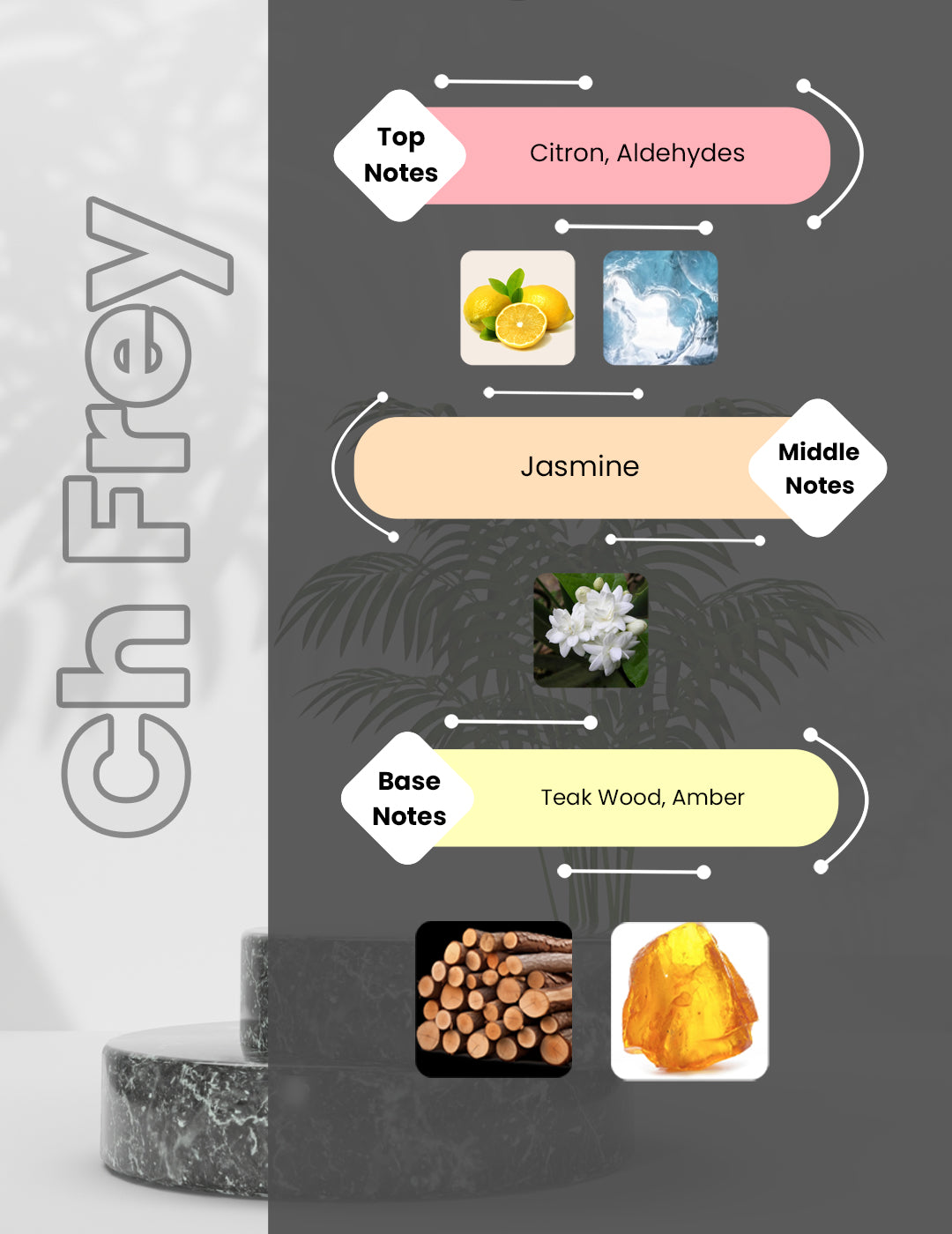 Chanel Eau Fraiche - CH Frey