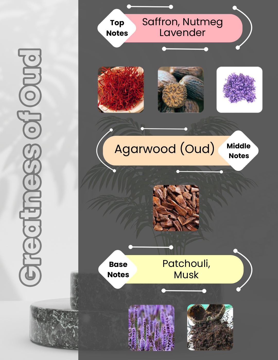 Oud For Greatnes - Greatness of Oud