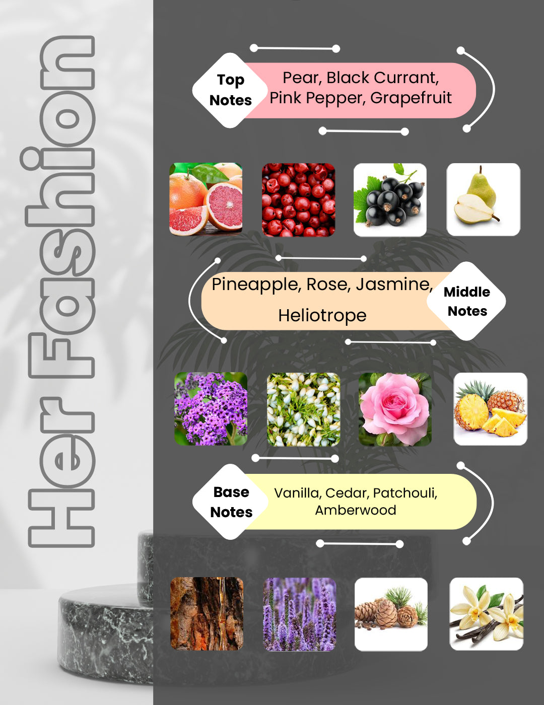 Si Passione - Her Fashion