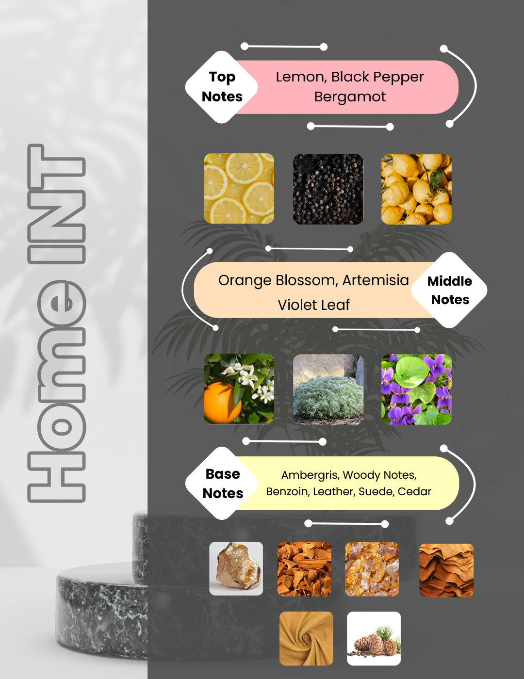 L'HOMME Intence - Home INT