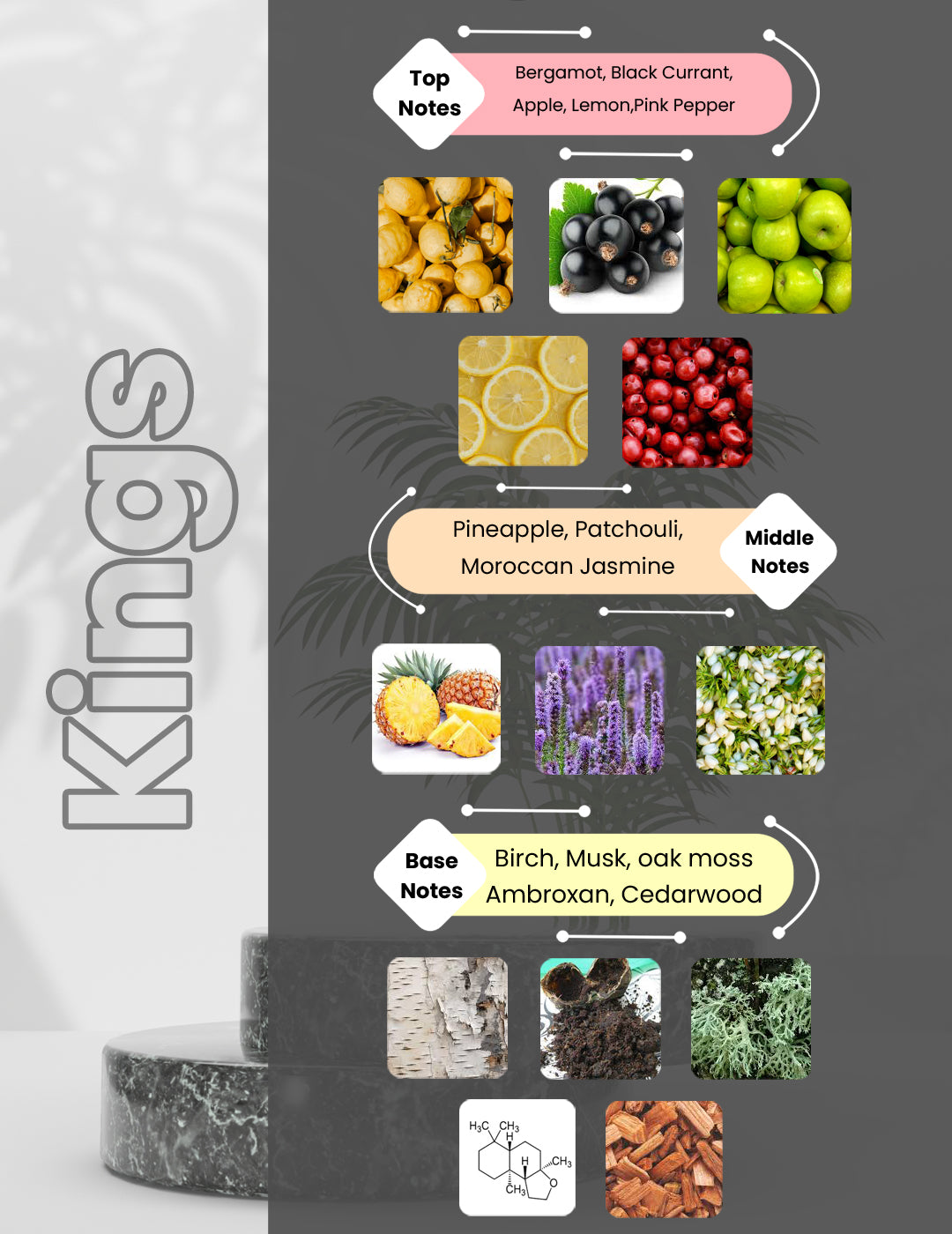 Aventus Premium - Kings