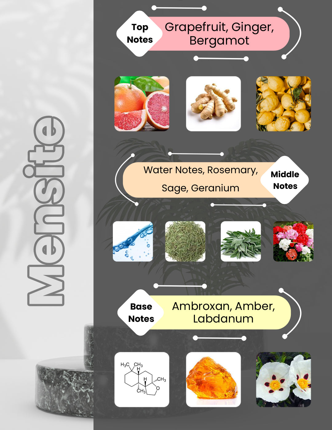 L'Immensite - Mensite