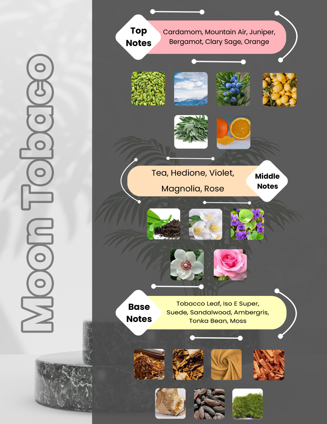 Montabaco - Moon Tobaco