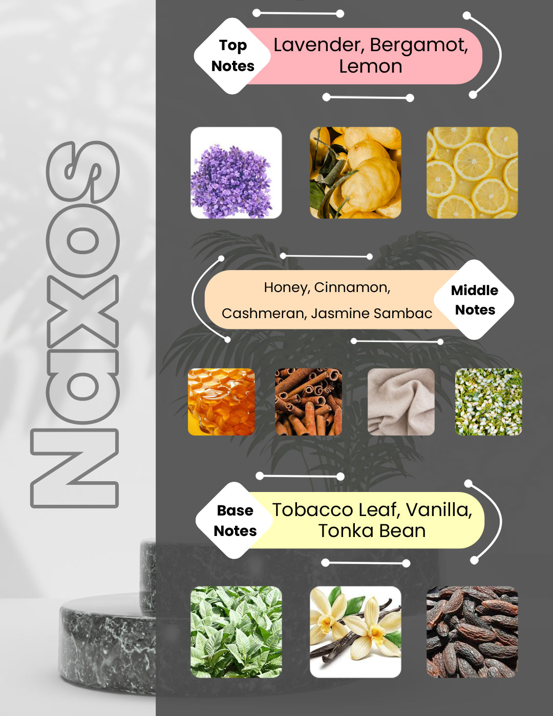 Narciso For Her  - Naxos