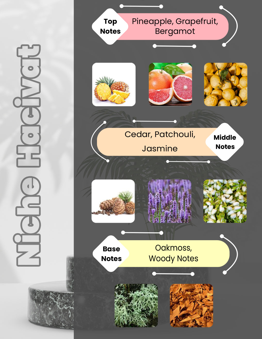 Hacivat Nishane - Niche Hacivat