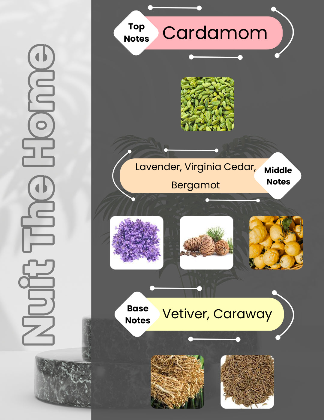 La Nuit De L Homme - Nuit The Home