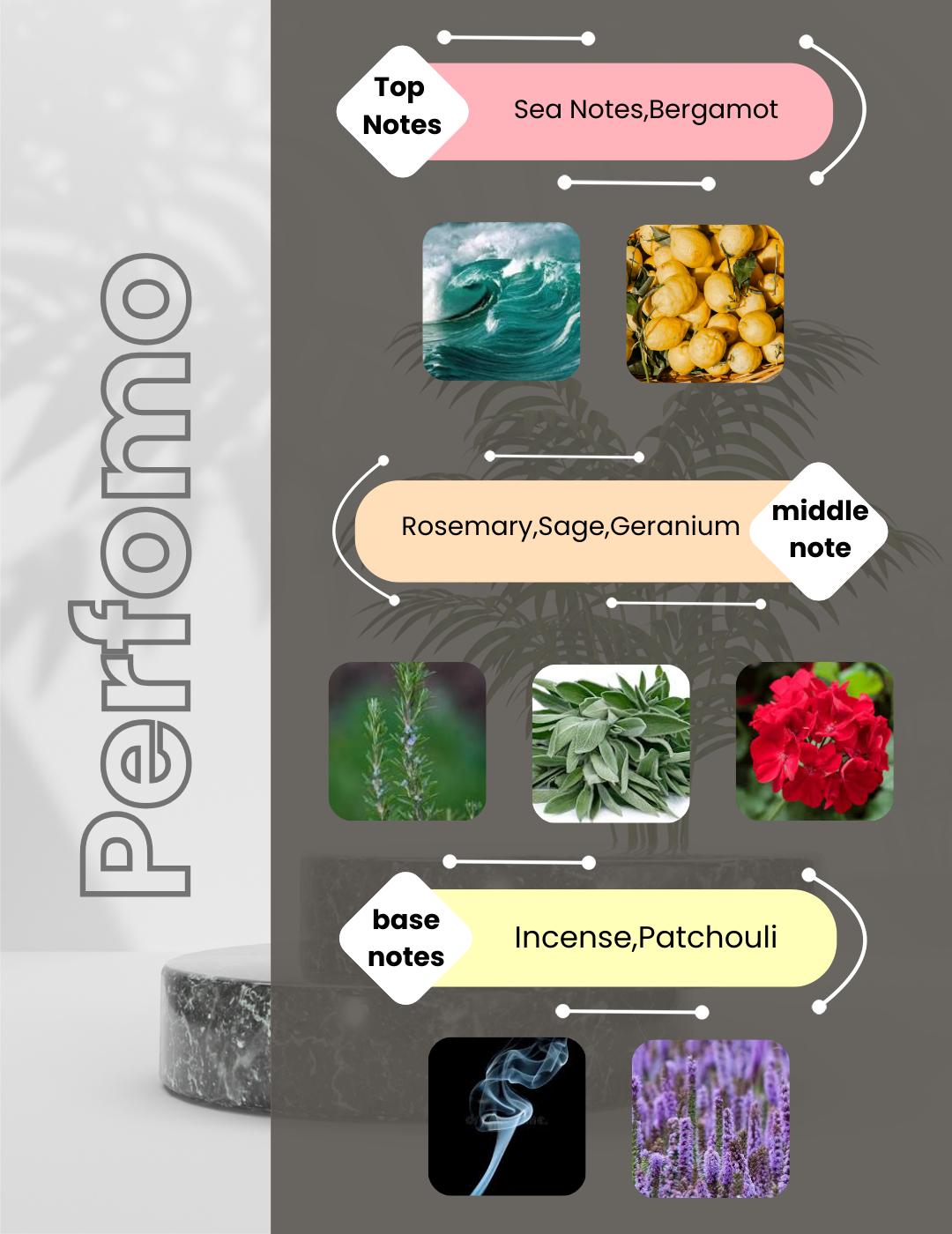 Aqua Di Gio Profumo - Perfomo