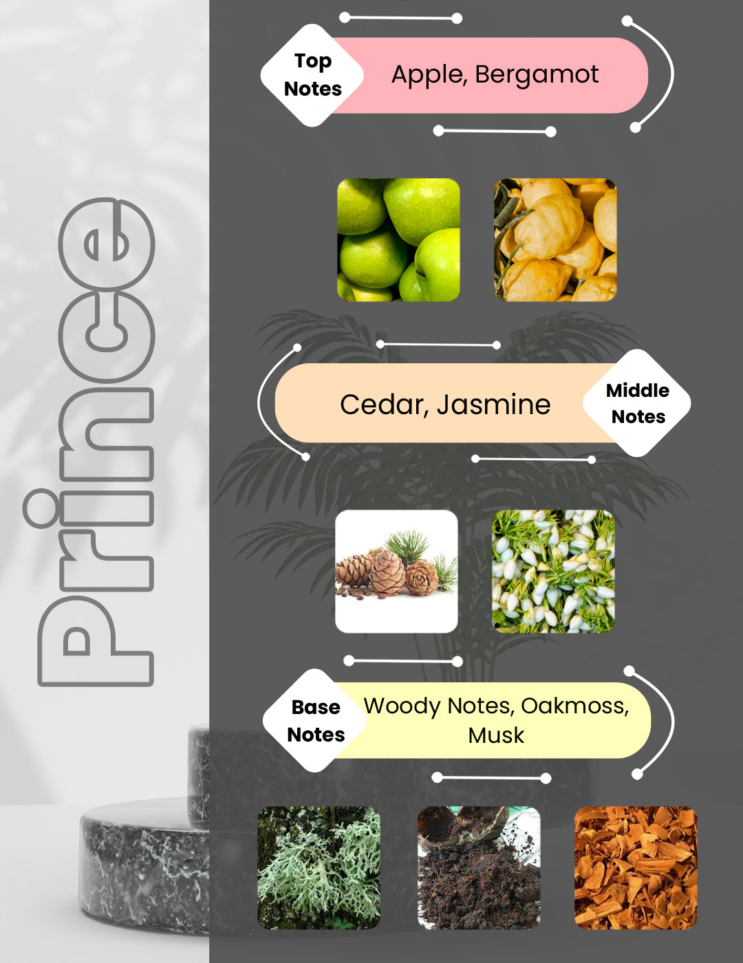 Luxodor Perfumes Prince fragrance affordable perfumes in India