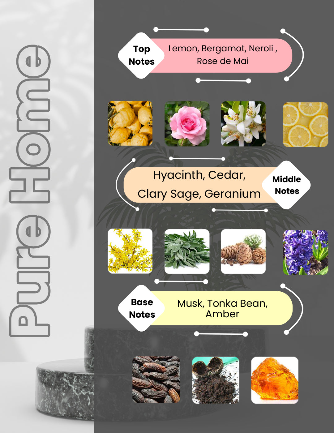 Pour Homme - Pure Home
