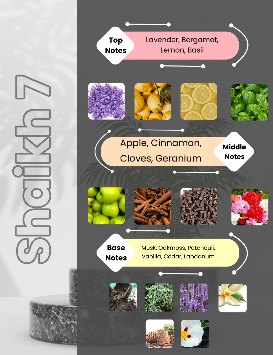 Opulent Classic Shaikh - Shaikh 7