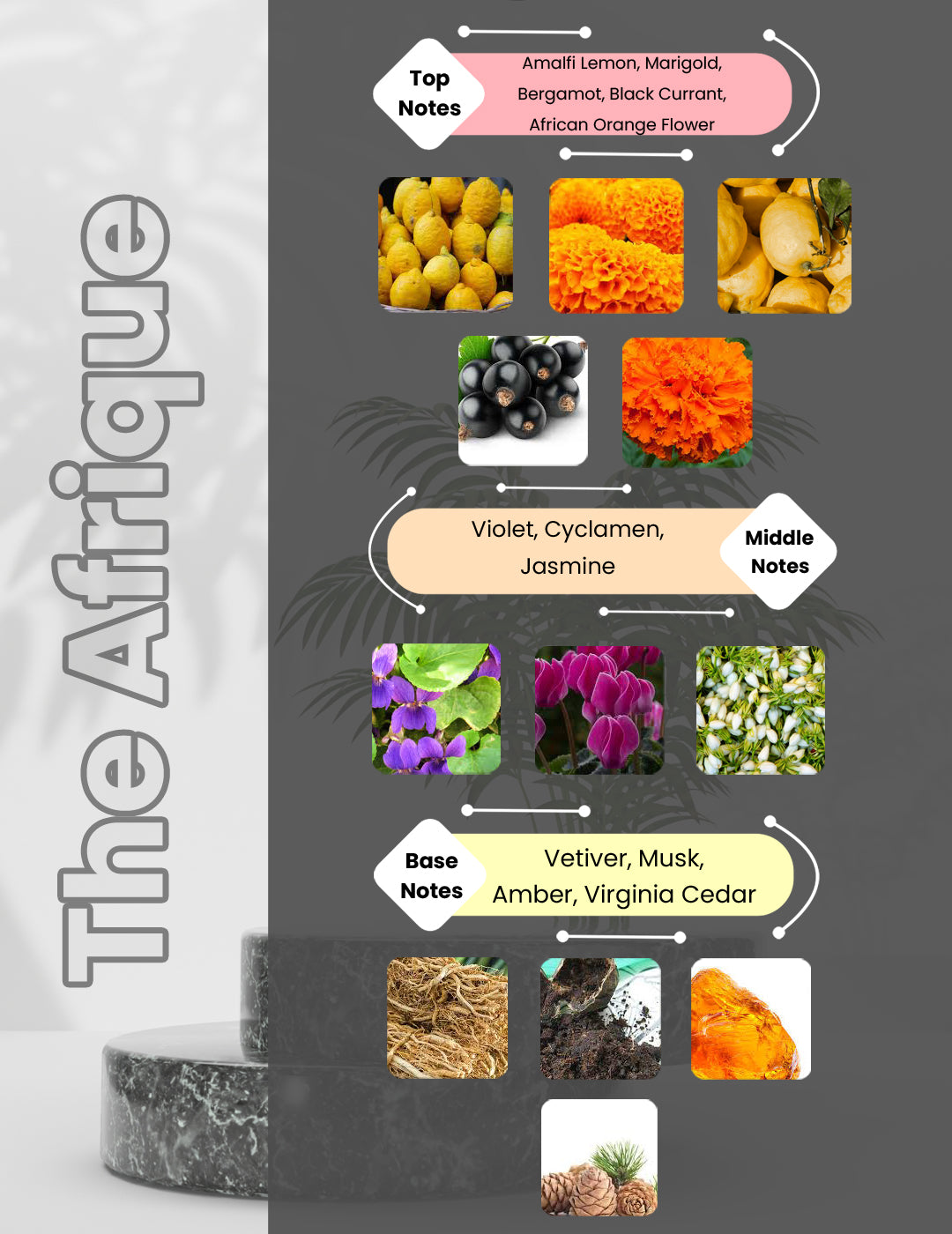 Bal d'Afrique - The Afrique