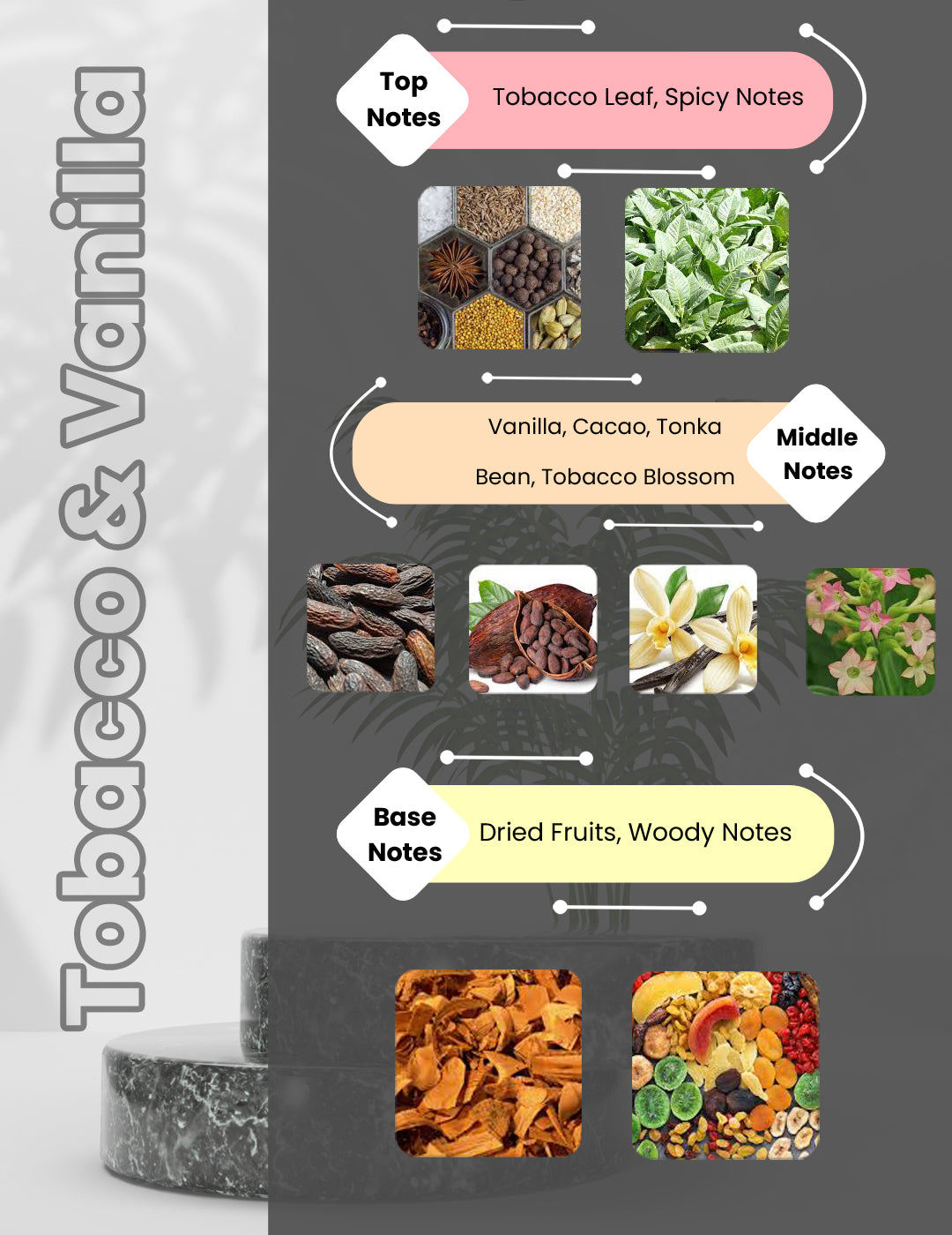 Tobacco Vanille - Tobacco & Vanilla