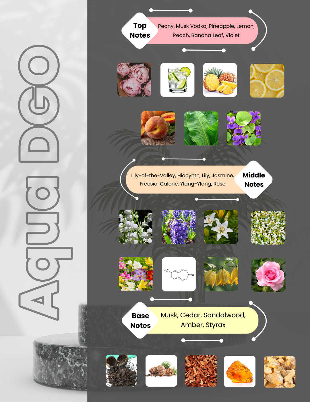 Aqua Di Gio Giorgio - Giorgio