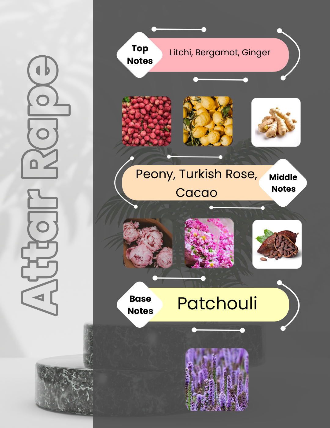 Attrape Reves - Attar Rape