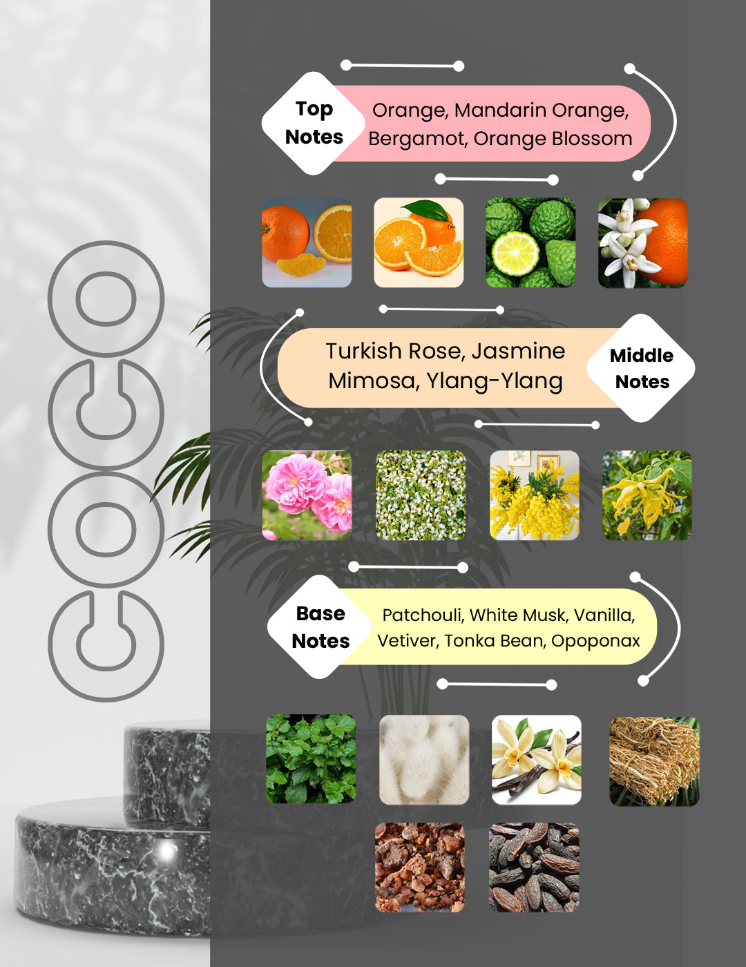 Coco Mademoisele - Coco