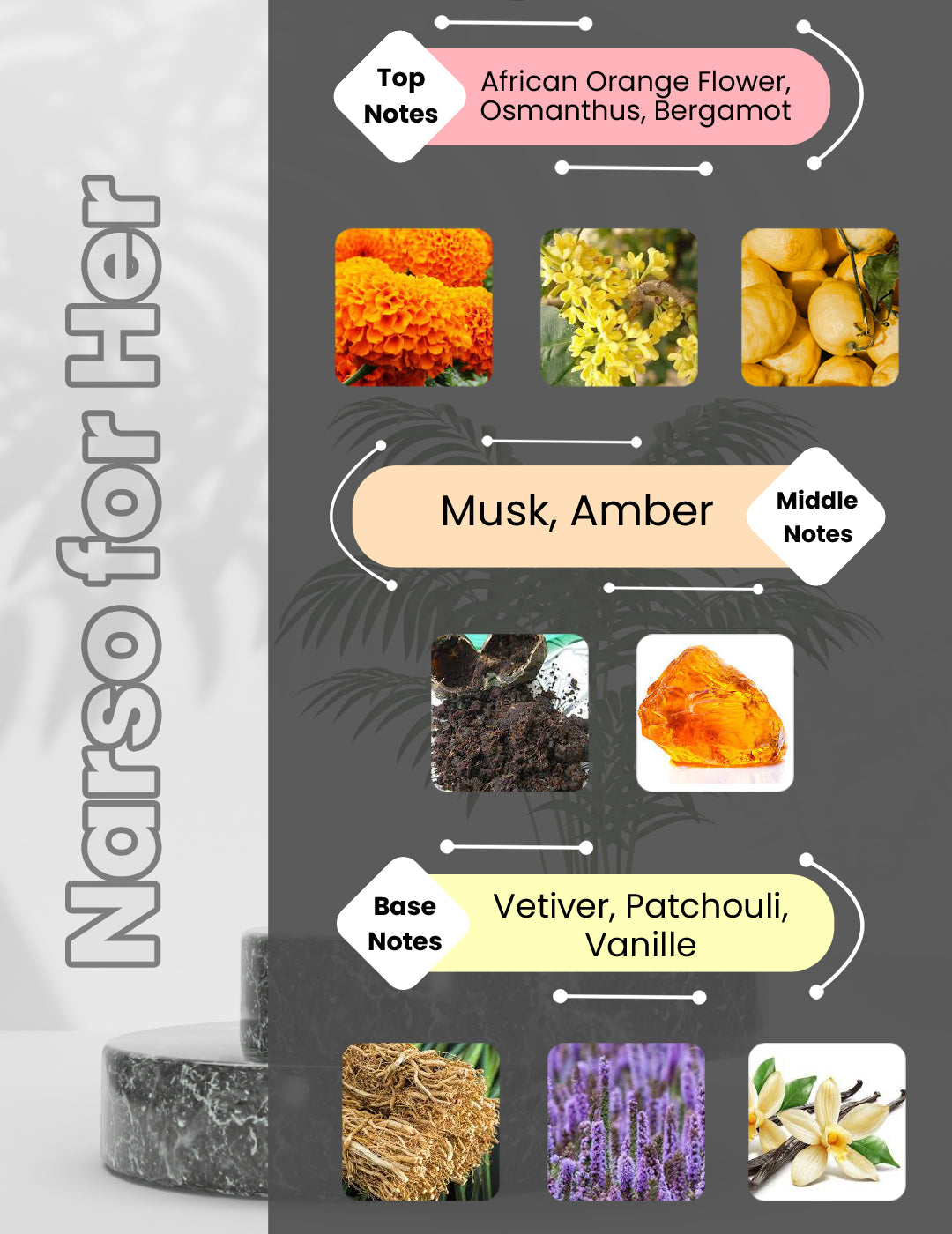 Narciso For Her - Narso for Her