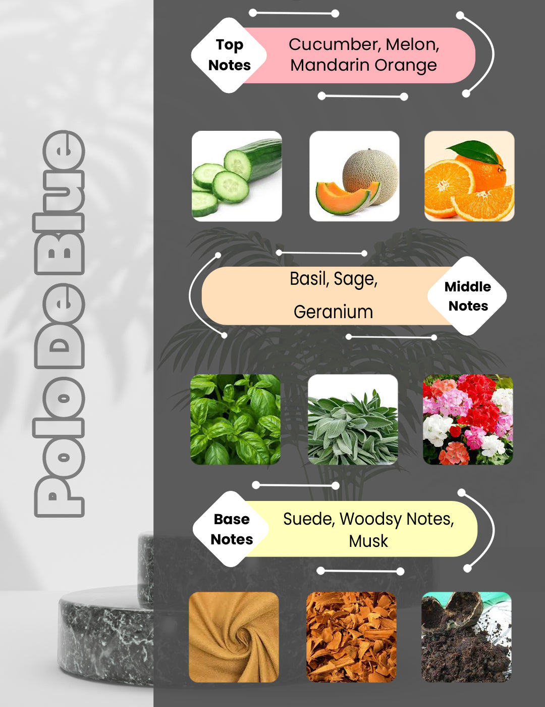 Polo Blue - Polo De Blue