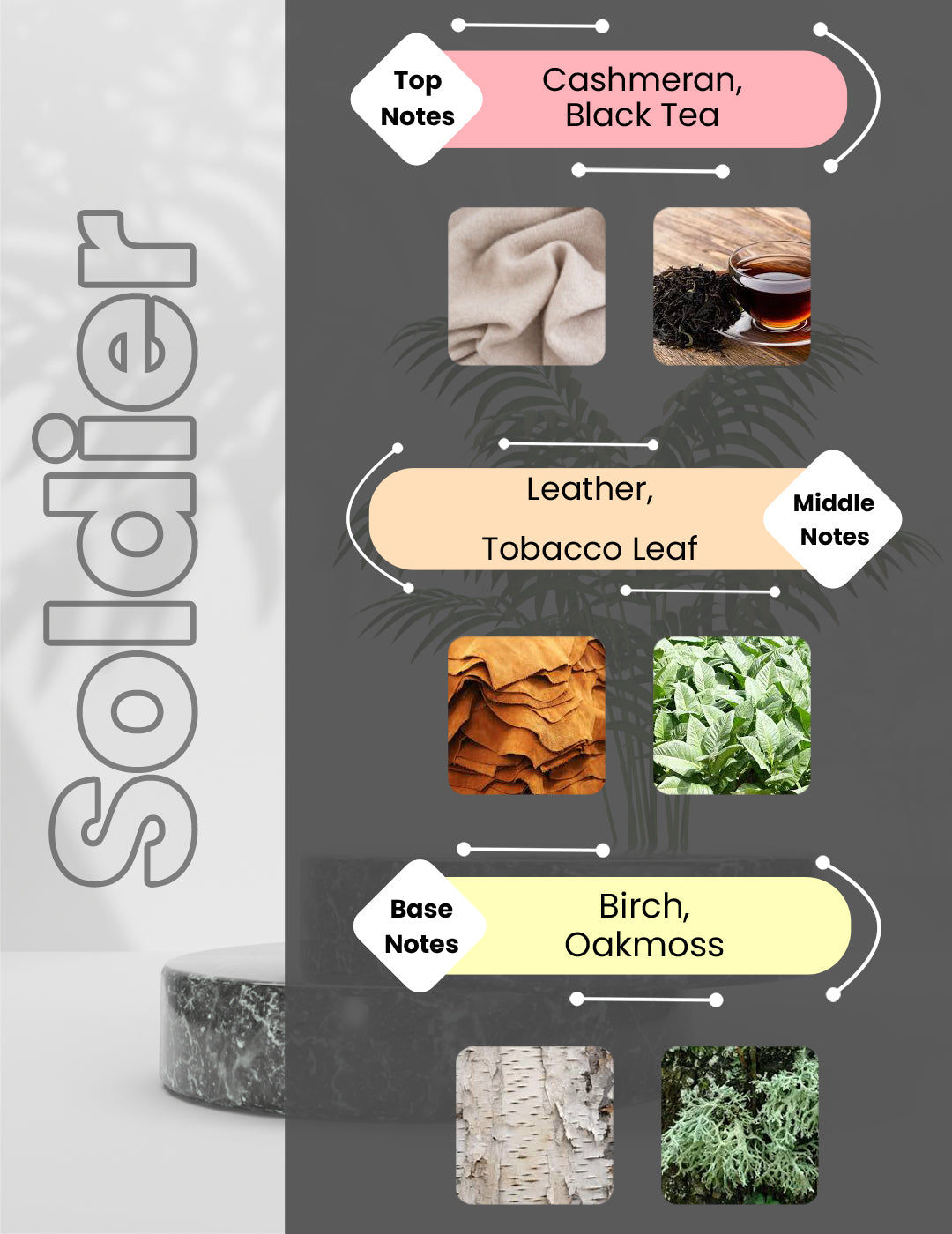 Sellier - Solier