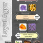 Layton - Loyal Agar